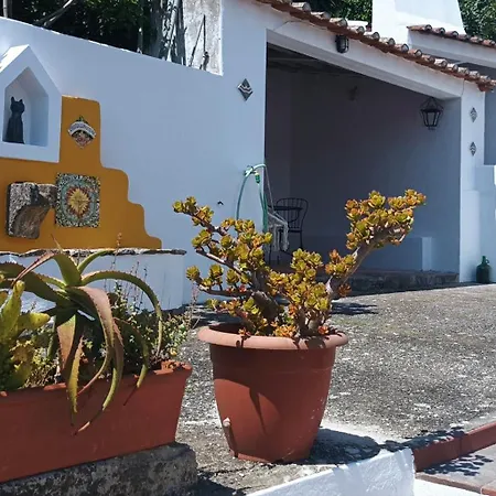 Patio Da Muralha
