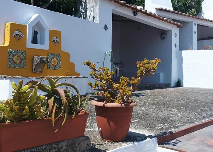 Patio Da Muralha